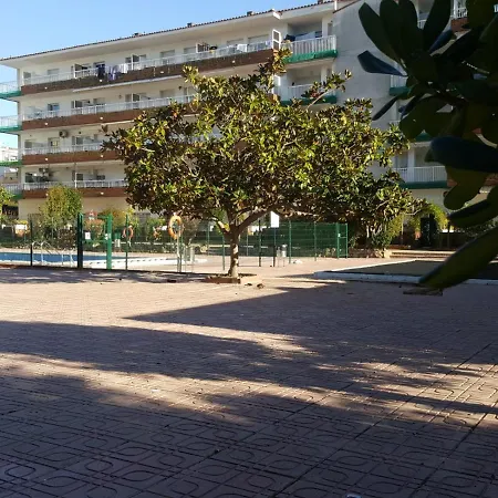 Bravaholidays-260-lotus-2 Appartement Blanes