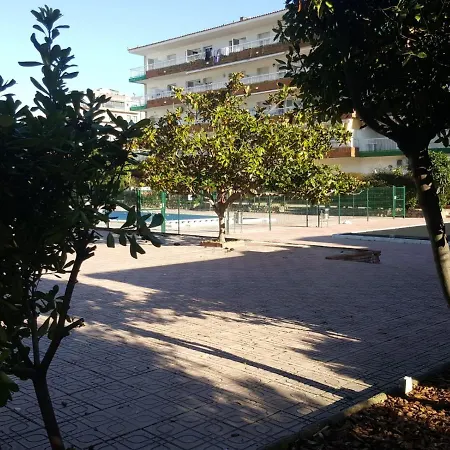 Bravaholidays-260-lotus-2 Apartment *
