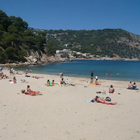Bravaholidays-260-lotus-2 * Blanes